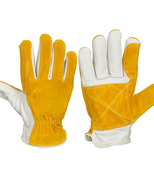 COCO PALM RANGE 1-chg